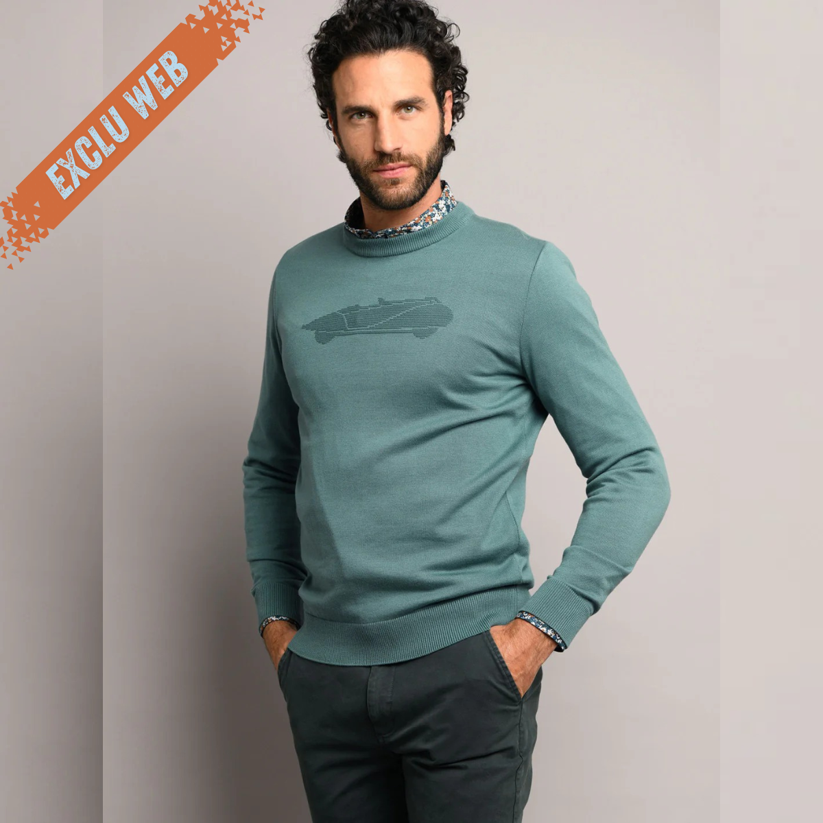 Delahaye Pull - Brume