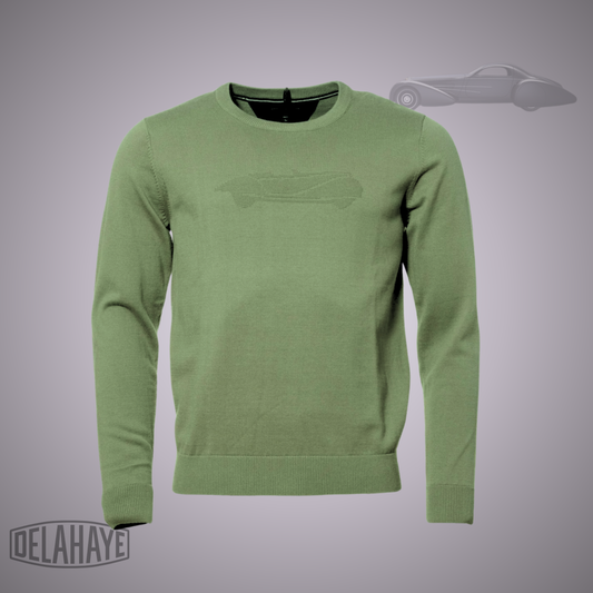 Delahaye Pull "Lichen"
